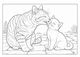 Thumbnail-14