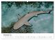 Thumbnail-13