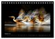 Thumbnail-10