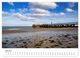Thumbnail-8