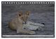 Thumbnail-9