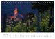 Thumbnail-11