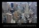 Thumbnail-10