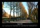 Thumbnail-12