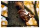 Thumbnail-14