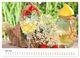 Thumbnail-11