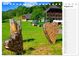Thumbnail-10