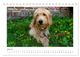 Thumbnail-12