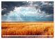 Thumbnail-9