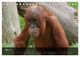 Thumbnail-10
