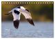 Thumbnail-8