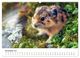 Thumbnail-12