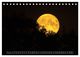Thumbnail-14