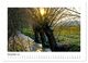 Thumbnail-14