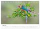 Thumbnail-8