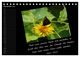 Thumbnail-14