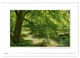 Thumbnail-12