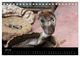Thumbnail-9