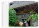 Thumbnail-12