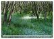Thumbnail-8