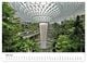 Thumbnail-11