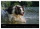 Thumbnail-12