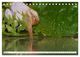 Thumbnail-10