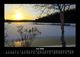 Thumbnail-10