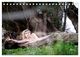 Thumbnail-10