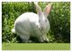 Thumbnail-12
