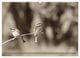 Thumbnail-12