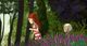 Thumbnail-11