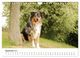 Thumbnail-14