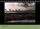Thumbnail-12