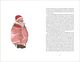 Thumbnail-12