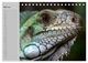 Thumbnail-10