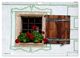 Thumbnail-10