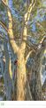 Thumbnail-2