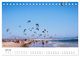 Thumbnail-9