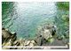 Thumbnail-8