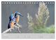 Thumbnail-10