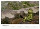 Thumbnail-11