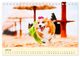 Thumbnail-9