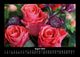 Thumbnail-12