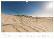 Thumbnail-11