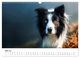 Thumbnail-10