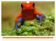 Thumbnail-11