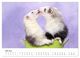 Thumbnail-11