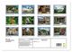 Thumbnail-11