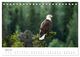 Thumbnail-9